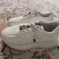 تعدادی کفش درحد نو|کیف، کفش، کمربند|کاشان, صنعت|دیوار