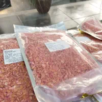 بذر ذرت شیرین corn امریکایی