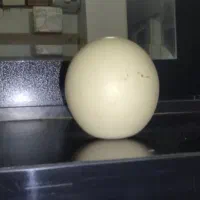 سنگ الماس|جواهرات|بجنورد, |دیوار