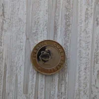 سکه خارجی