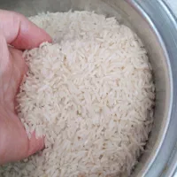 برنج طارم اصل دابو