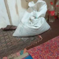 ۳گونی کودکبوترتمیز