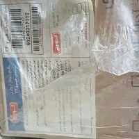 پکیج دیواری نو لورچ