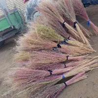 جارو محلی فروشی