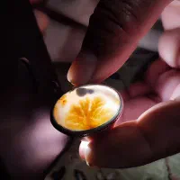 انگشتر های کلکسیونی|کلکسیون اشیاء عتیقه|کرمانشاه, |دیوار