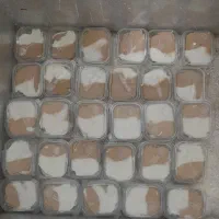 بستنی مجلسی