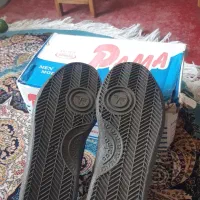 کفش پیاده روی اروند|کیف، کفش، کمربند|شیراز, ملاصدرا|دیوار