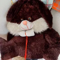 خرگوش ۲۰۰تومن