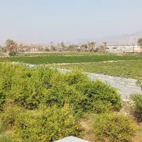 اجاره روزانه سوئیت ( اتاق مسافر)|اجارهٔ کوتاه‌مدت آپارتمان و سوئیت|رودان, |دیوار