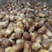 زاهدی نرم خوزستان رسید