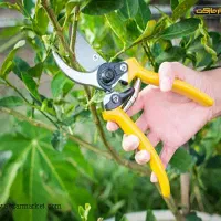 هرس درختان بااَره برقی ودستی،سمپاشی،کاشت گل و درخت