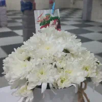 کلاس ایروفیت بانوان