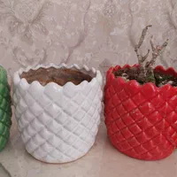 گلدان سفالی|گل و گیاه طبیعی|رباطکریم, شترخوار|دیوار