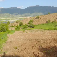 زمین فروشی برای خانه باغ