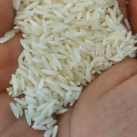 فروش برنج هاشمی درج یک|خوردنی و آشامیدنی|رشت, عینک|دیوار