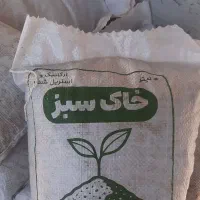 خاک گیاهان آپارتمانی