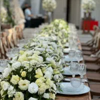 برگزاری انواع تشریفات مجالس