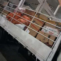 باربری داخلی کیش حمل باراثاثیه منزل ششچرخ بزرگ|خدمات حمل و نقل|کیش, |دیوار