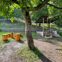 کلبه سویسی جاده ییلاقات|اجارهٔ کوتاهمدت ویلا و باغ|ماسال, |دیوار