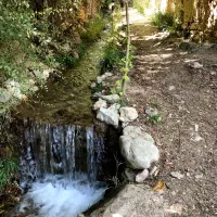 زمین باغ ۶۵۰ متری فروشی در روستای کشه رایان نطنز