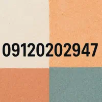 09120202947