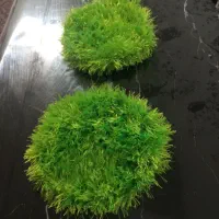 انواع دستگیره های سنتی و اسکاج های متنوع|سفره، حوله، دستمال آشپزخانه|پردیس, فاز ۸|دیوار