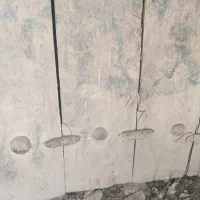 درب چوبی قدیمی گردوی|کلکسیون اشیاء عتیقه|شیراز, امام حسین|دیوار