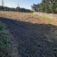 ۲۵۰۰ متر زمین کشاورزی در لیوان شرقی