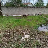 زمین فروشی|فروش زمین و ملک کلنگی|رشت, جانبازان|دیوار