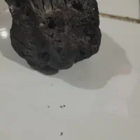 فروش شهاب‌سنگ