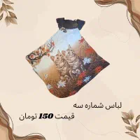 لباس های دست دوم زنانه|لباس|فولادشهر, B2|دیوار