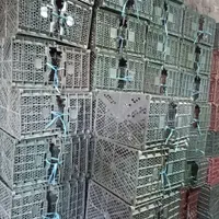 انواع سبد میوه گوجه ای،هلویی وغیره و کارتن موزی|عمده‌فروشی|نیشابور, خط کاشمر|دیوار