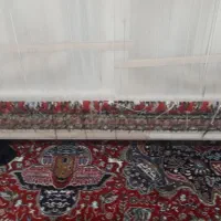 یک قالیچه|فرش|تبریز, |دیوار