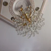 دوعددلوستر۱۲شاخه