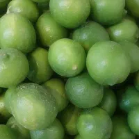لیمو ترش عقیلی