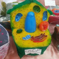 تدریس درس علوم و زیست