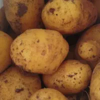 سیب زمینی درجه یک فروشی