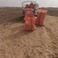 فروش کاه