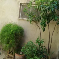 ویلایی حیاط دار سند دار|فروش زمین و ملک کلنگی|کرج, کلاک پایین|دیوار
