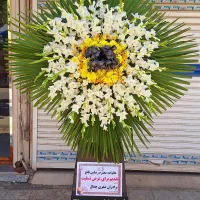 تاجگل و ماشین عروس طبیعی|گل مصنوعی|بهار, |دیوار