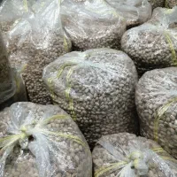 پسته خام|خوردنی و آشامیدنی|راهگان, |دیوار