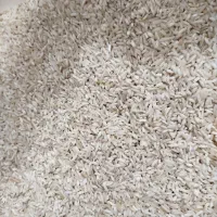 طارم اقتصادی