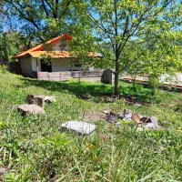 1000متر زمین مسکونی سند تک برگ در دل طبیعت|فروش زمین و ملک کلنگی|رضوانشهر, |دیوار