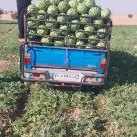 هندوانه