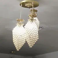 لوستر طلایی رنگ زنبوری سالم