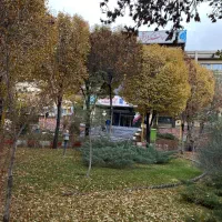 مشاور تحصیلی کنکور با تماس