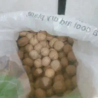 گردو درجه یک