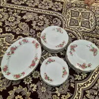 ظرف گل سرخی
