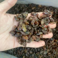 کشمش عنابی درجه یک