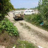 زمین-گلخانه-ای